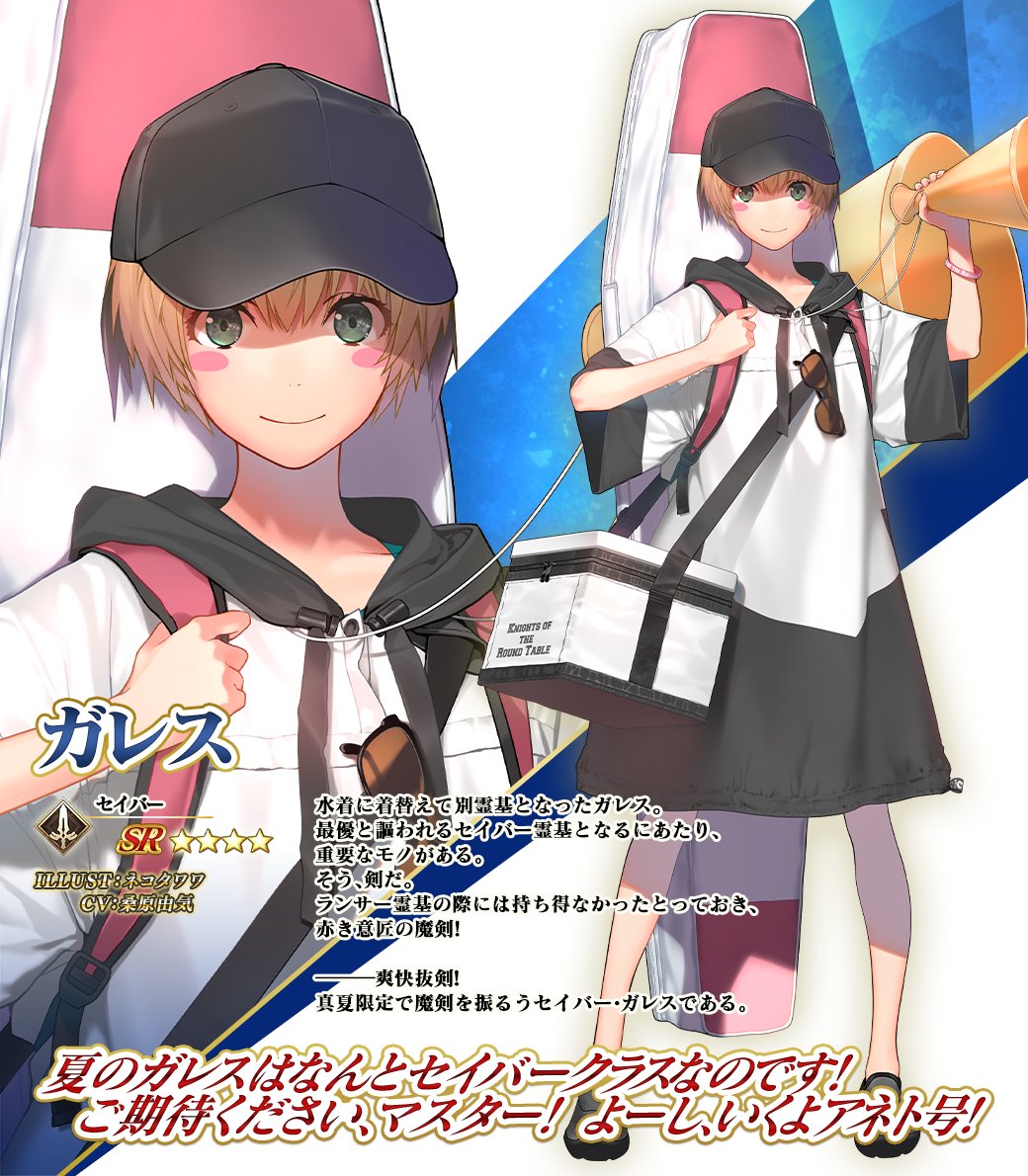 カルデア広報局より】 期間限定「3100万DL記念 レディ・アヴァロン