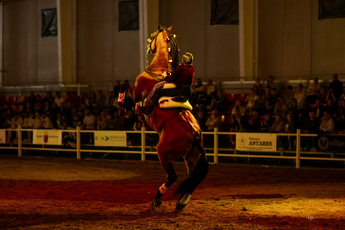 Del 3 al 6 de abril, EQUIMUR 2025 deslumbró con más de 15.000 visitantes y una agenda llena de concursos y espectáculos ecuestres. Un evento clave en la Región de Murcia para todos los amantes del caballo. 🐴

🔗 Más información: ifepa.es/equimur-2025-1…