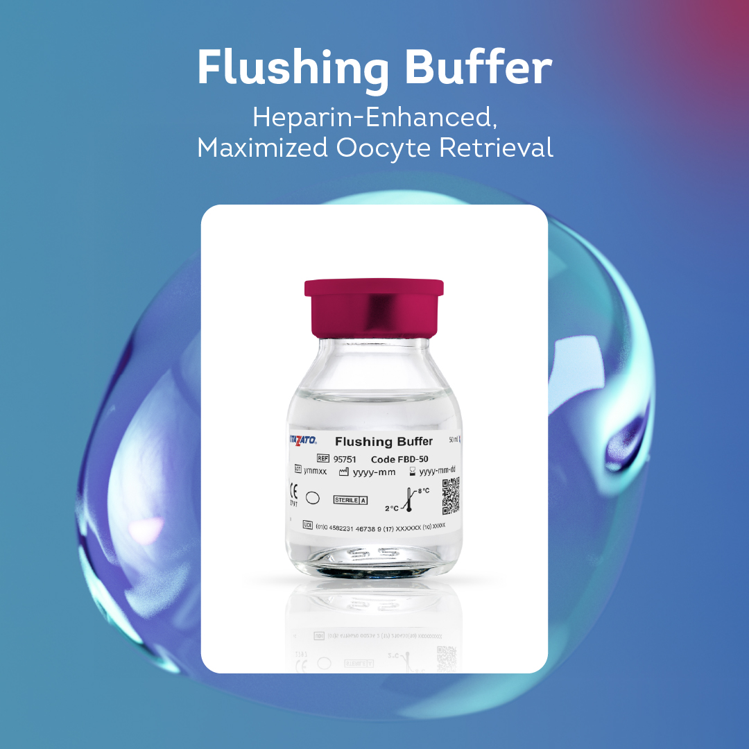 Kitazato tweet media