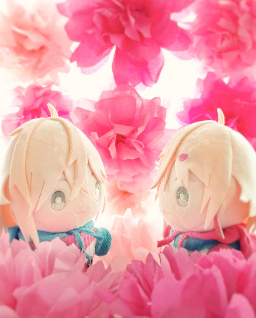 いちこ tweet media