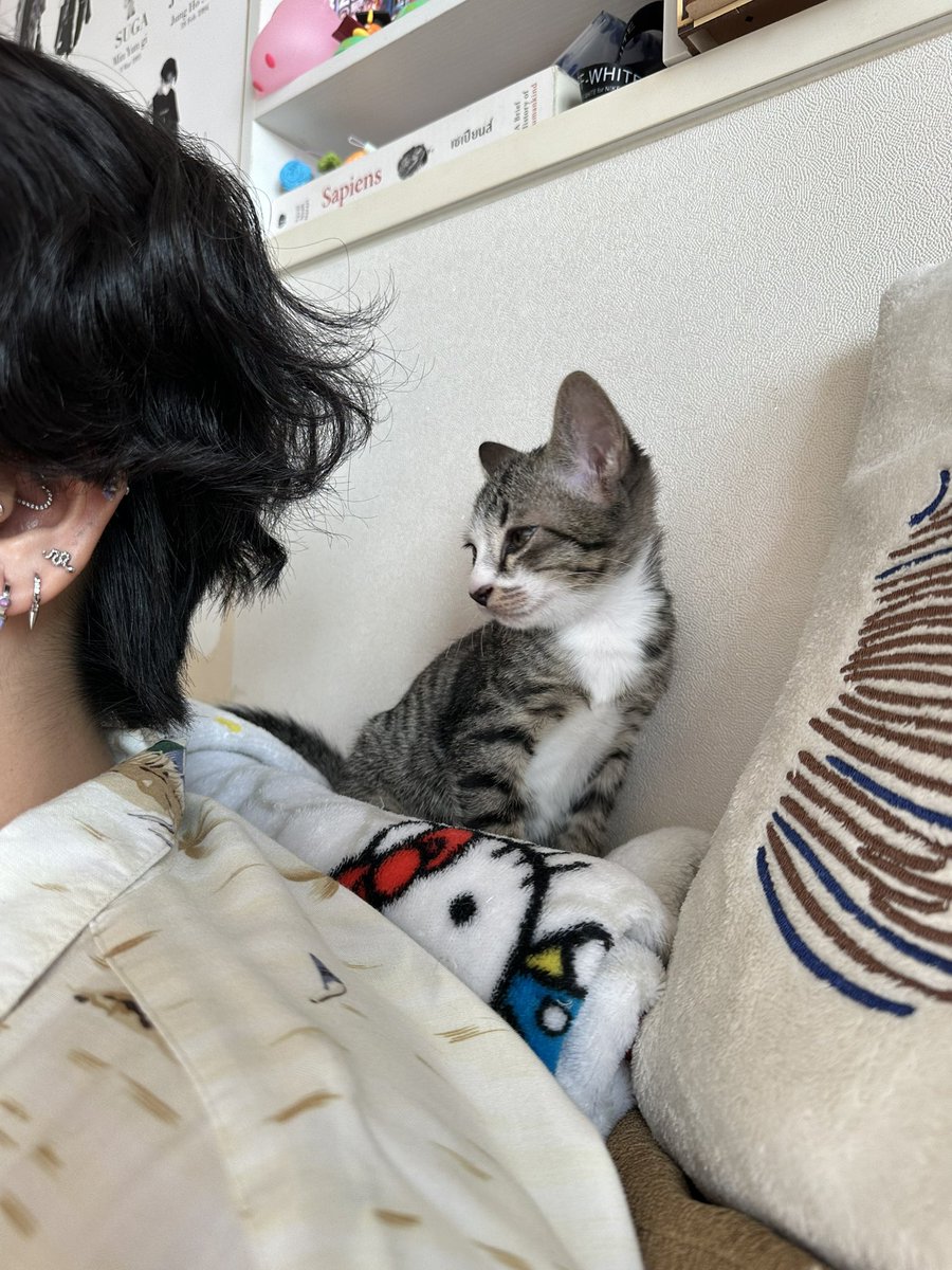 CLOSELOVELORN's tweet photo. หน้าแบบ สงสัย https://t.co/mLrpunajtt