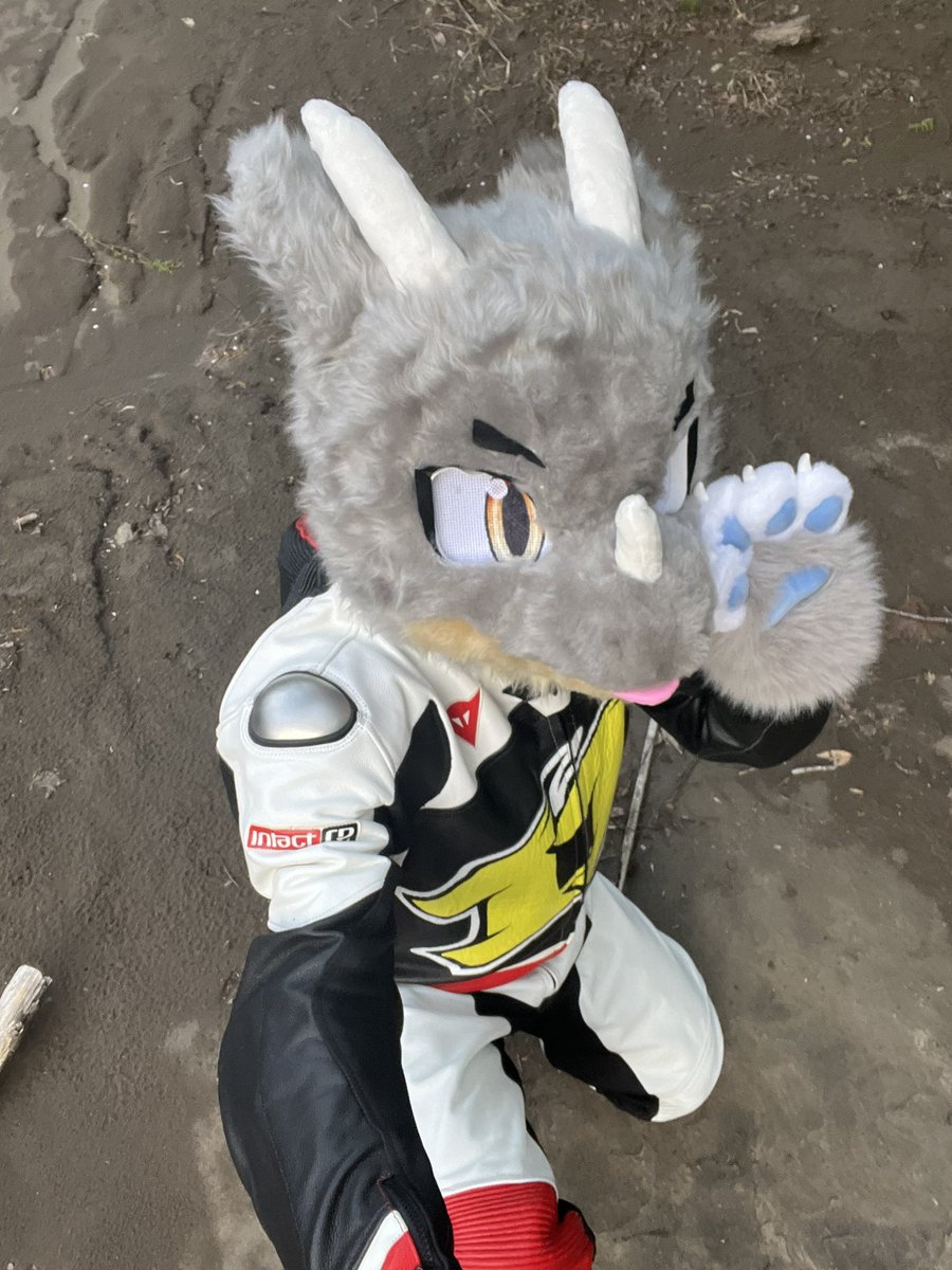 wolfmuzzle11's tweet photo. #Harmaa
ハルマアくん https://t.co/8Qp6ZWzauP