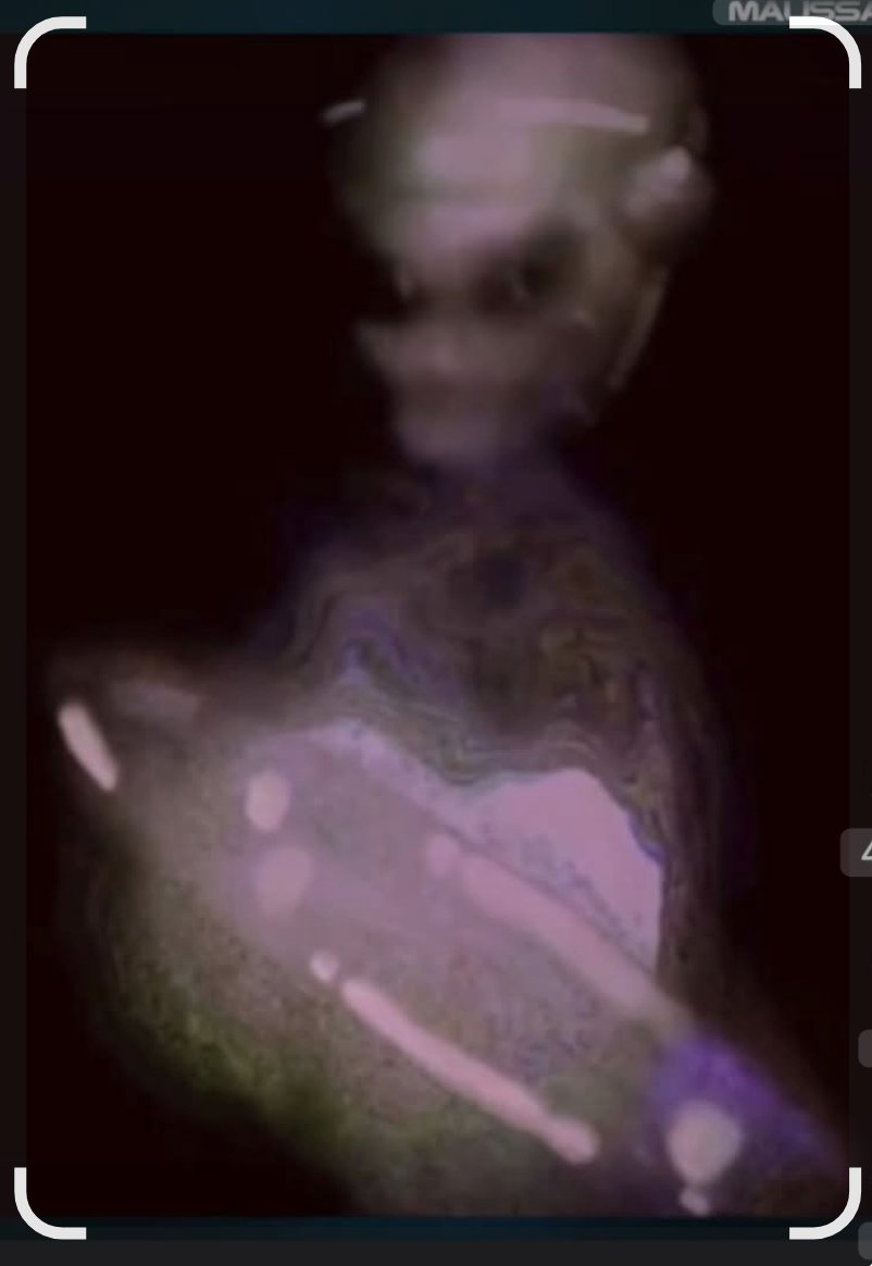 UFO mania tweet media