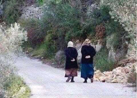 دورية راجلة مشتركة بعد ورود معلومات عن كميات من الخبيزة والزعتر البري 
#جودمرلي_ليبانيز_بيبول