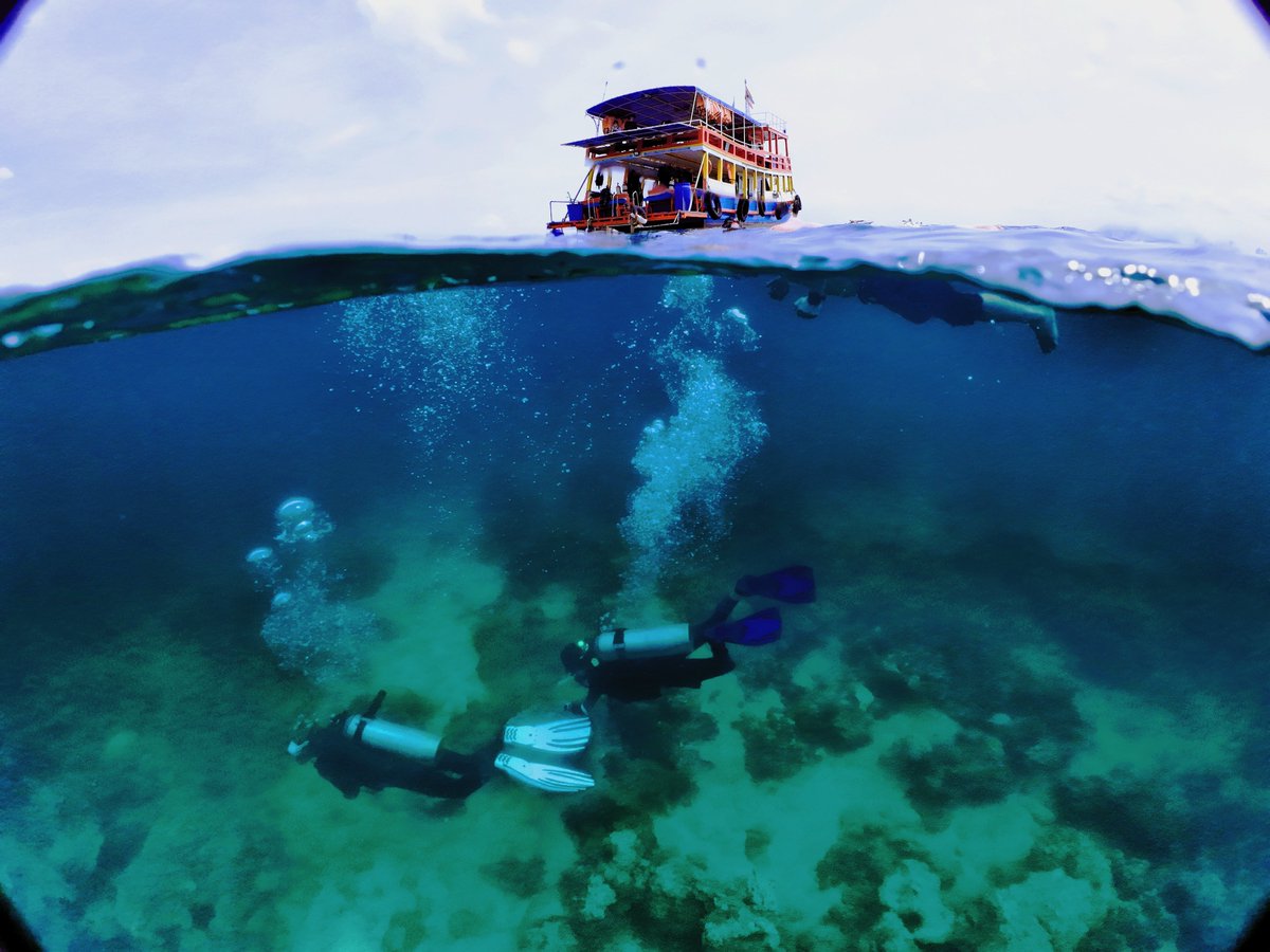 Diving for love 🥰
I love the ocean, and I also respect the ocean.
Are there any customers who need to produce swimsuits, and beachwear, etc?
We are a factory and support full customization services without MOQ
#manufacturer #diving #swimwear #Yuepai #beachwear #sportswear #ocean