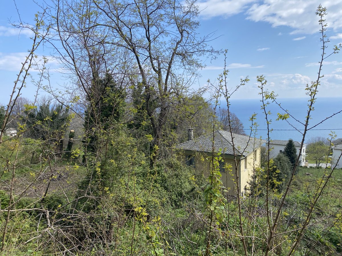 Μια καλημέρα πέρασα να πω και φεύγω