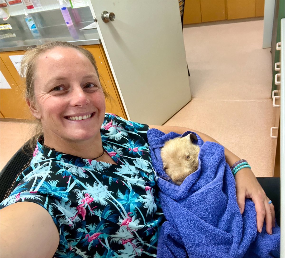 From the dusty roads of the Kimberley working as a Jillaroo to the healthcare frontlines in remote South Australia, as a newly appointed CRANAplus Nursing and Midwifery Roundtable member, Sam Fleming proudly shares her story. 

crana.org.au/a-jillaroos-ca…