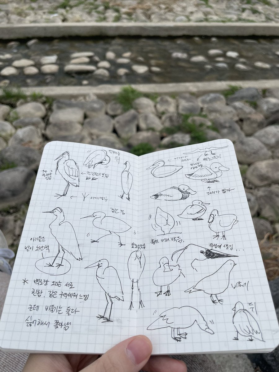 allako00's tweet photo. 하천에서 새 관찰하며 힐링 중인데
비가 와서 다리 밑에 갇혔습니다🥺 https://t.co/mpnkL0OYoy