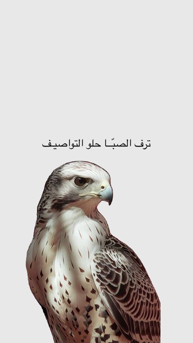 AY_E_D's tweet photo. ترف الصبا حلو التواصيف 🤍 https://t.co/l6d00aTodI