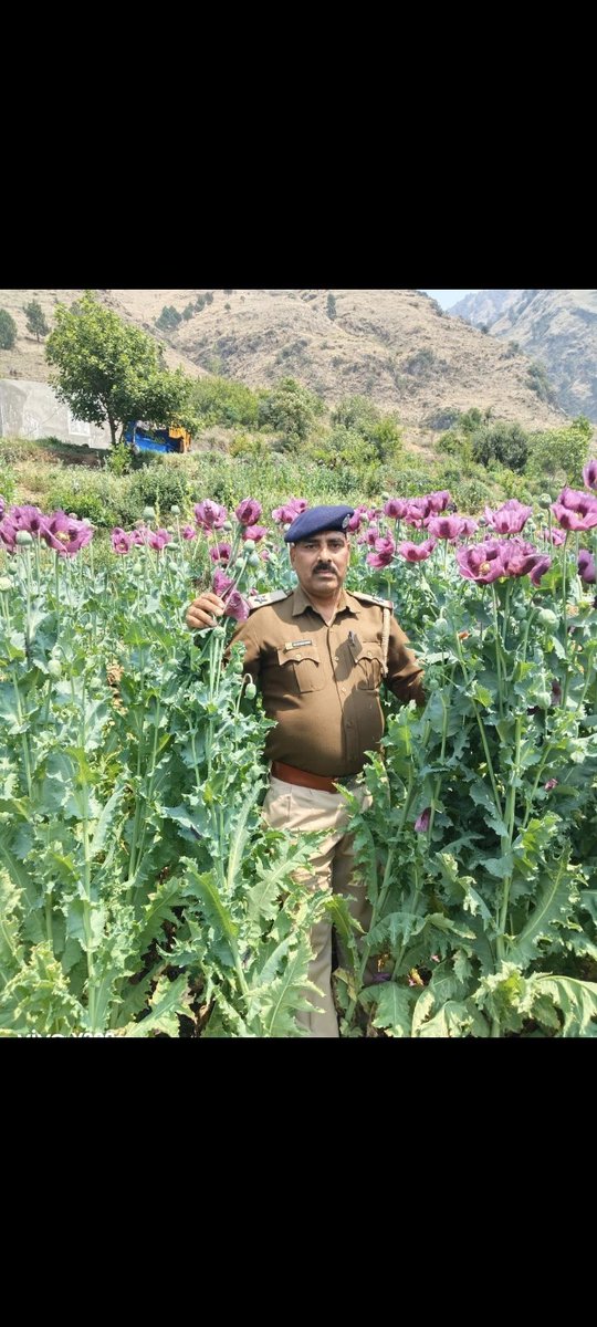 Kullu Police tweet media
