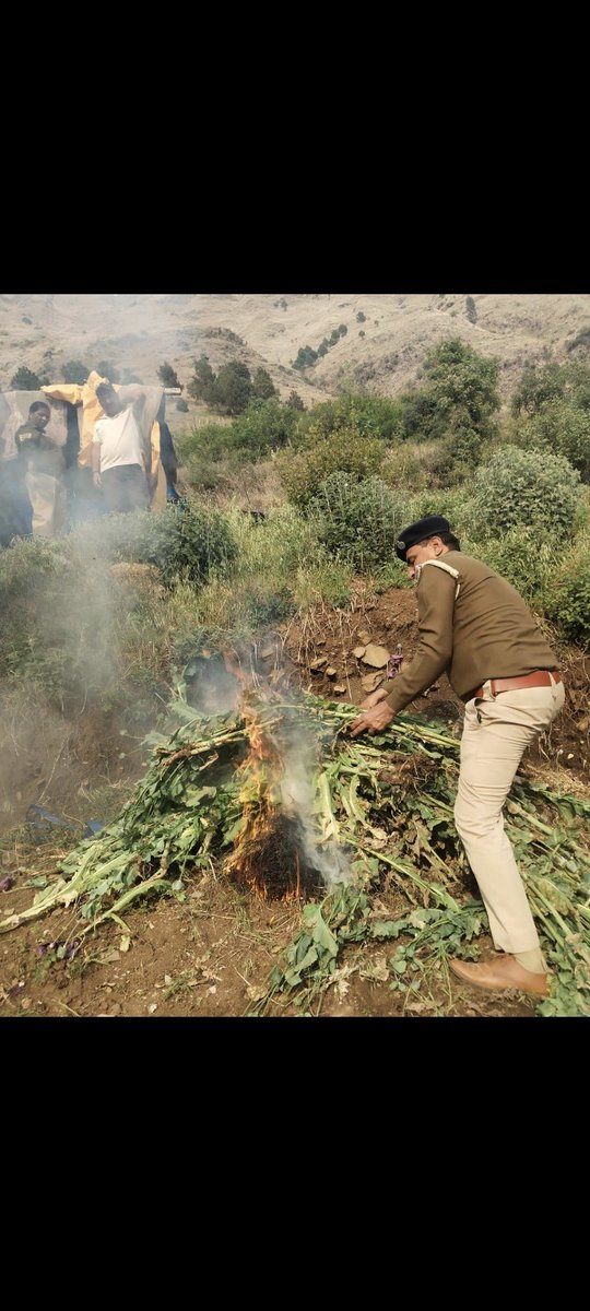 Kullu Police tweet media