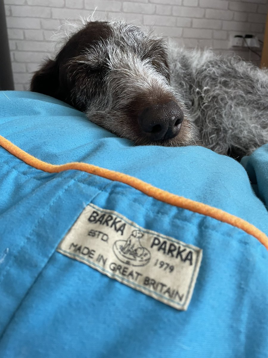HayhurstBoo's tweet photo. Day in the life…..#wait #beachfun #beachdog #goodgirl #beachfind #ball #adventure #outdoors #seastheday #outdoors #love @barkaparka #lovelife #eat #sleep #repeat #dog #dogsoftwitter https://t.co/v68IryOQgJ
