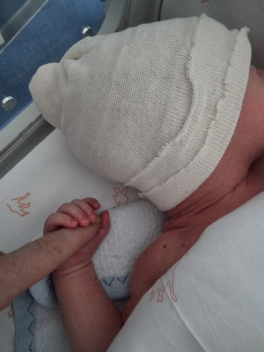 Miguel de Lys ⚜️ tweet media