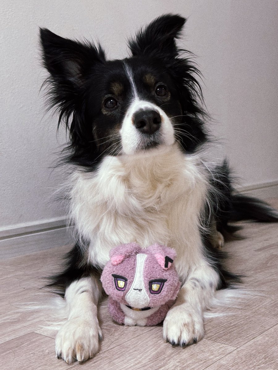 𝕞𝕒𝕪𝕦🐾 (@46l57) / Posts / X