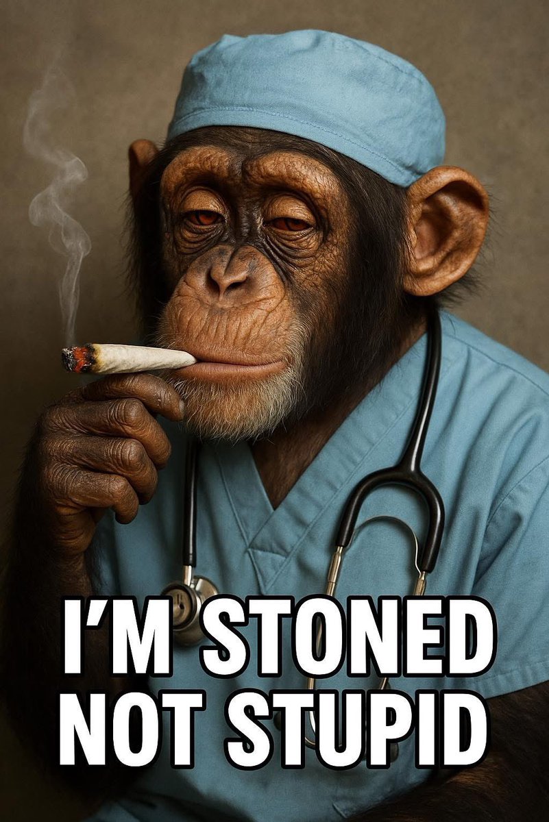 HighAngel's tweet image. 🙊