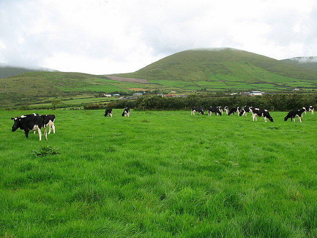 2nd rotation is the best time to start sulphur applications on grazing ground to boost N efficiency and grass growth. Aim for a total of 10-15 units S/acre over the months of April, May, June and July!
