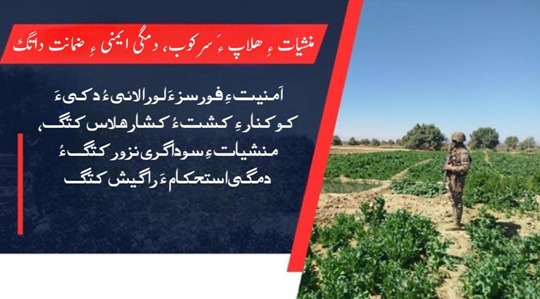 etcFatima's tweet photo. منشیات ءِ ھلاپ ءَ سرکوب، دمگی ایمنی ءِ ضمانت داتگ امنیت ءِ فورسز ءَ لورالائی ءُ دکی ءَ کوکنار ءِ کشت ءُ کشار ھلاس کتگ، منشیات ءِ سوداگری نزور کتگ ءُ دمگی استحکام ءَ را گیش کتگ
#PeaceAndProsperity
#DrugFreeBalochistan
#BuildingASecureFuture
#StabilityAndGrowth
#SayNoToDrugs https://t.co/EJ5qS6W90r