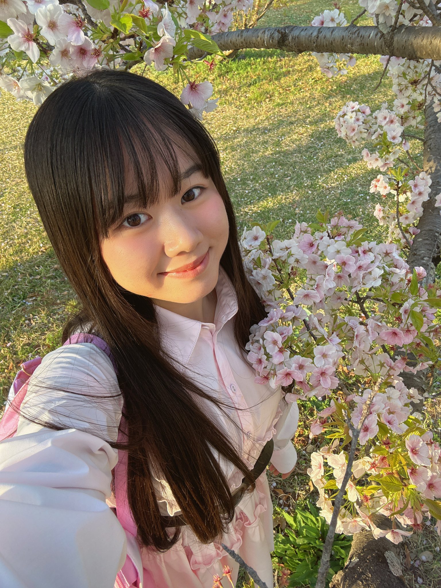 はるにゃん🩷ラム肉たべたい on X: はるにゃん🩷ラム肉たべたい on X: