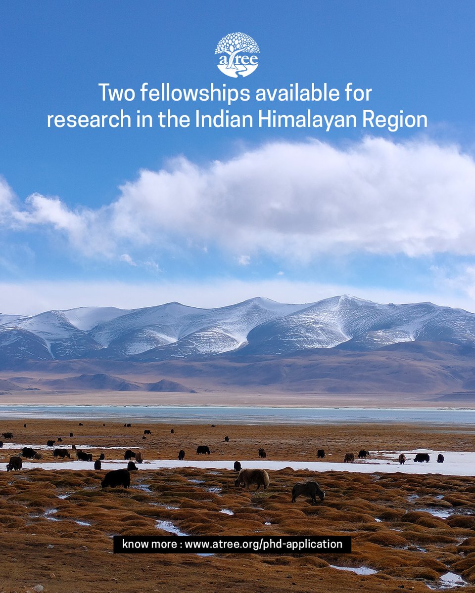 atree_org's tweet photo. ATREE is inviting applications for the 2025 PhD programme in Conservation Science and Sustainability Studies. We offer four institutional fellowships for four thematic areas: Human-Wildlife Interactions, Urbanscapes, Water Management & Governance and Ecological Restoration & Human Wellbeing. Two special fellowships are available for research in the Indian Himalayan Region. 

In addition to our available fellowships, students who hold the CSIR-JRF, UGC-JRF or DST-INSPIRE Fellowship for 2024 are also encouraged to apply.

Last date: 25 April 2025

Enrol today :  https://t.co/9KdakTJ49L