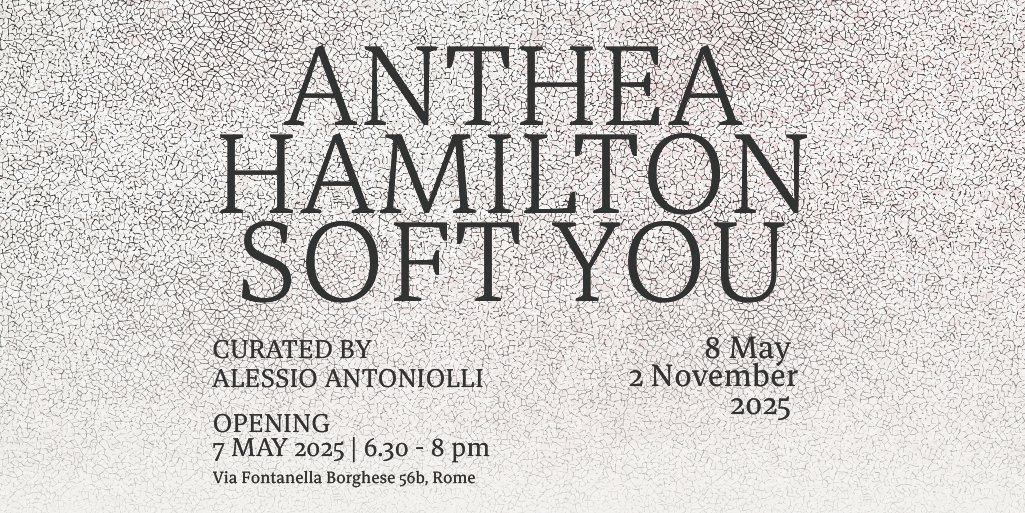 SAVE THE DATE
Next #Opening | #AntheaHamilton | Soft You
curated by #AlessioAntoniolli
Wednesday May 7 | 6.30 - 8 pm at #FondazioneMemmo