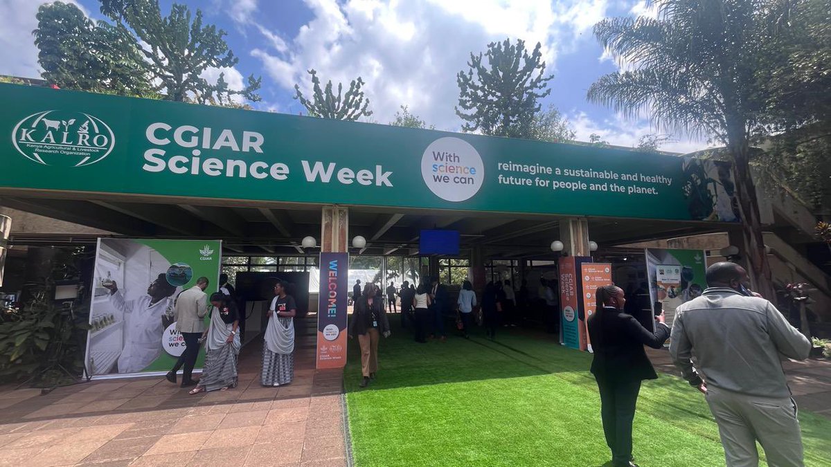 Zero_Hunger_Ke's tweet image. Our very own @Beatrice_Kiage, Research Scientist is representing us at #CGIARScienceWeek2025!


We’re proud to be part of the global conversations shaping the future of food systems.

#IamAPHRC #APHRCResearch #ZeroHunger #Right2Food 
@aphrc