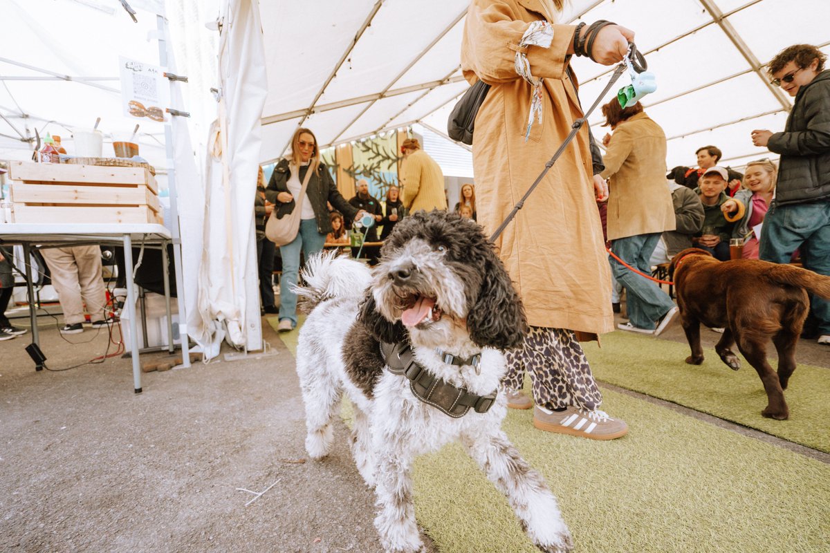 Lost and Grounded Brewers tweet media