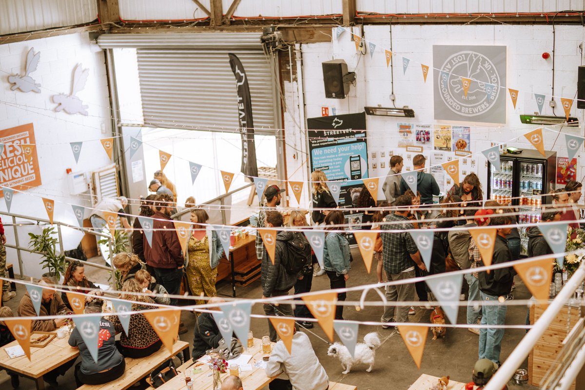 Lost and Grounded Brewers tweet media