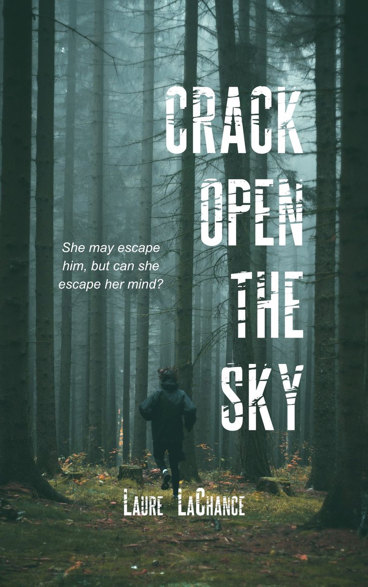 CrackOpenTheSk1's tweet photo. Y'all, it's finally HERE! I published my debut novel!

If #psychologicalthrillers are your jam, I would love for you check it out! It's on KU and available in paperback! 🥰
 
Crack Open The Sky: A Psychological Thriller

#debut #thrillers #LGBT+ #romance

https://t.co/kUcEWZ9hDP https://t.co/ICtFkNWdQ5