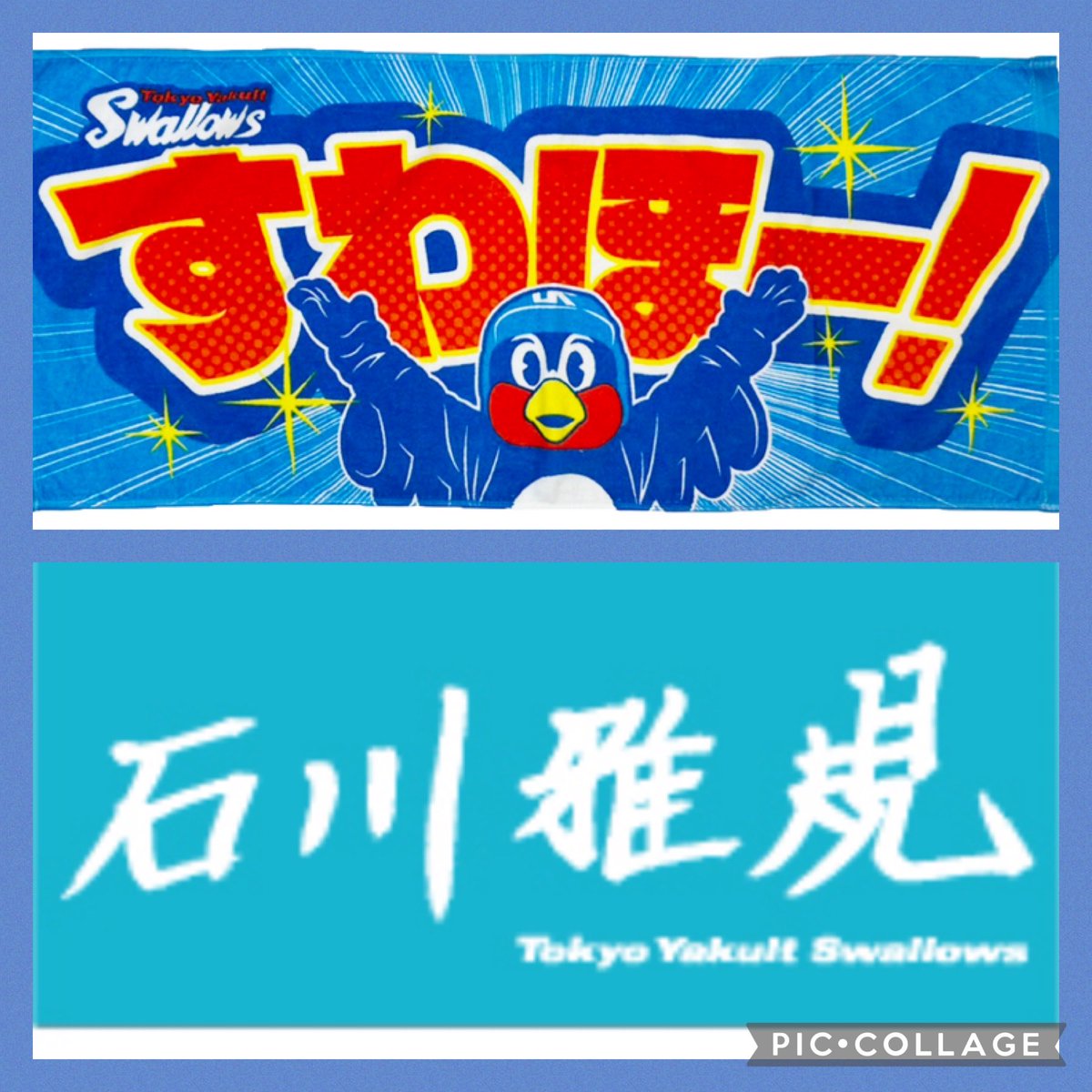 rascalpon's tweet photo. つば九郎さん見てたかな？
カツオさん勝ったよーー😆💚
すわほー⚾️
#swallows https://t.co/bHQpZGeOve