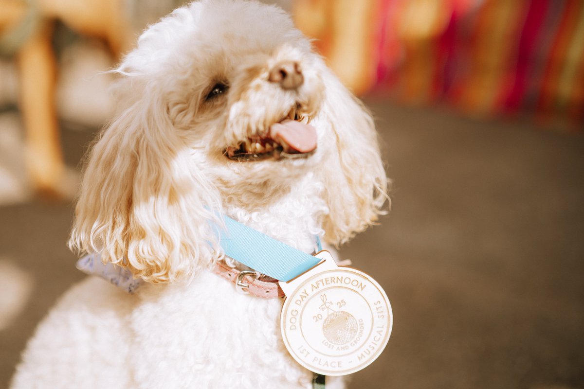 Lost and Grounded Brewers tweet media