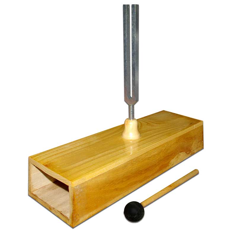 #CUAV2425441115B
CYT-13. TALLER: 'Ondas, sonido y música'
A partir del vídeo visto en clase realiza una presentación con la terminología y conceptos básicos del sonido.
Envía tu trabajo por MD.