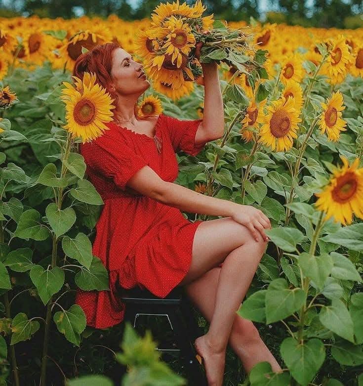 I_Am_Ms_LaLa's tweet photo. I need someone in the Florence area, once sunflower season begins to take pics of me. *pics as inspiration purpose only* #chapter50 https://t.co/3SWScnwWyZ