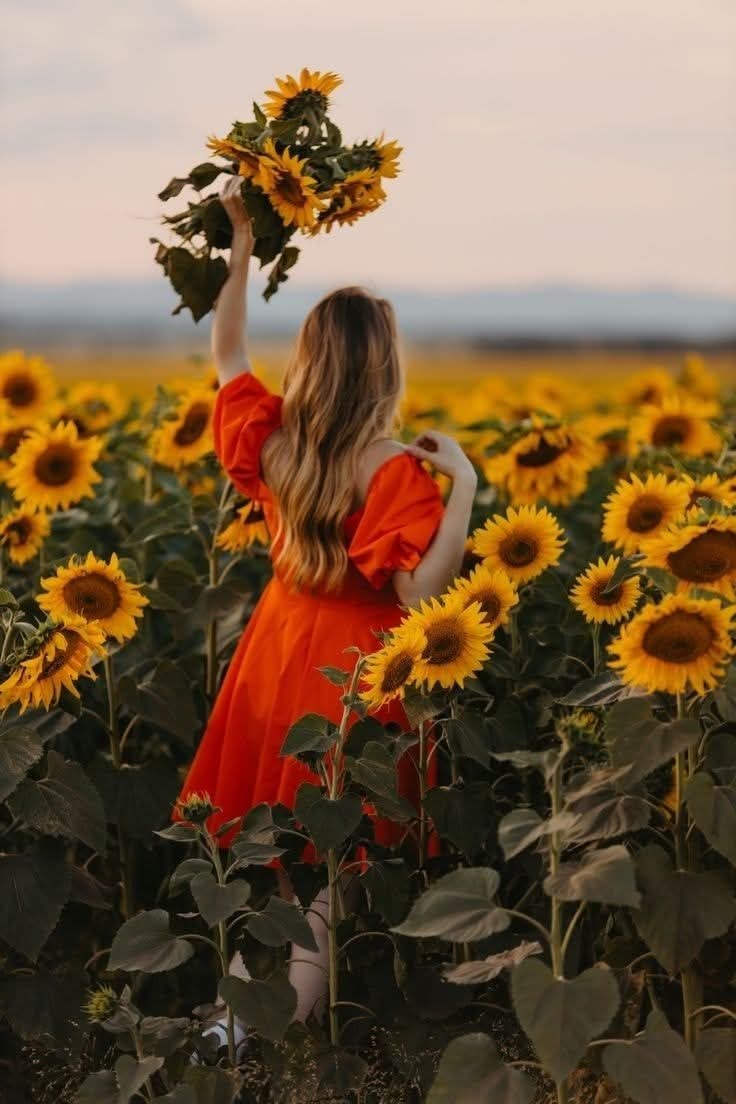 I_Am_Ms_LaLa's tweet photo. I need someone in the Florence area, once sunflower season begins to take pics of me. *pics as inspiration purpose only* #chapter50 https://t.co/3SWScnwWyZ