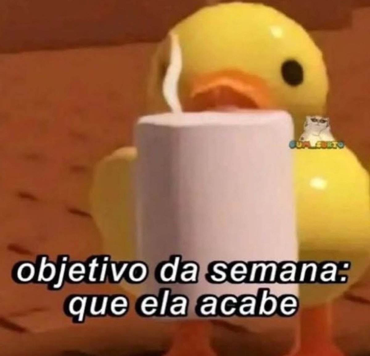 Shitpost só que de verdade (@shitpostverdade) on Twitter photo 