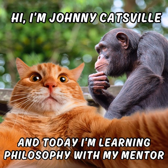 JacattsJohnny's tweet photo. GM GM, do you have a thoughtful morning? #JACATTS https://t.co/r4fBFVpN5b
