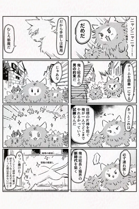 猫五夏120 121 