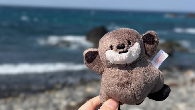 悪を許さないラッコ!マスコットぬいぐるみ3種現在、ゲームセンターにて好評発売中(みつけたら、おしえてほしいです) 