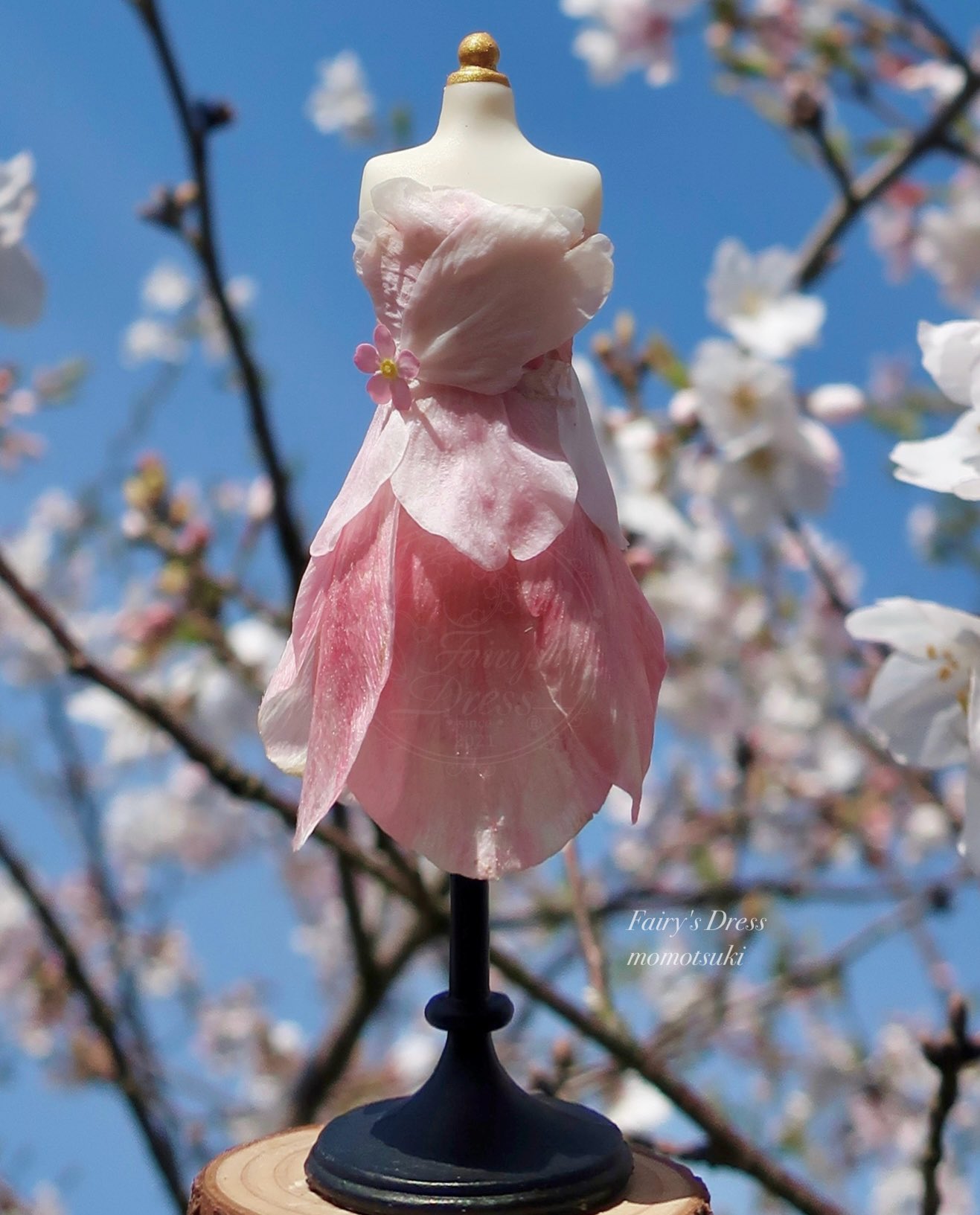 Highlights by Fairy's Dress (@Fairys_Dress) / X