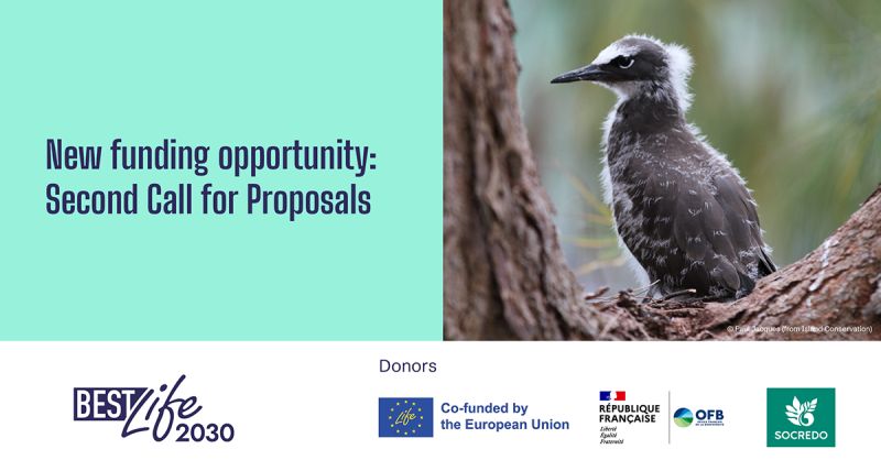 Did you know? 80% of Europe’s biodiversity is in its outermost regions and overseas territories 🌍

The #BESTLIFE2030 Call is open, supporting local conservation in those areas that makes a difference🌱

🗓️Apply by 30 May

🔗bestlife2030.org/news/empowerin…

#LIFEAmplifier #LIFEProgramme