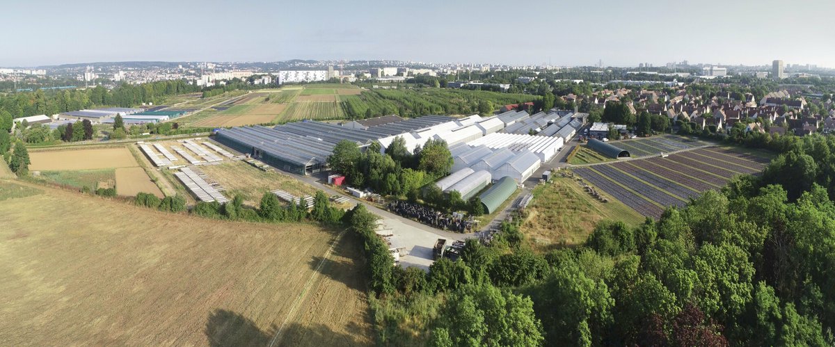 Le Parisien | 94 (@leparisien_94) on Twitter photo Vignes, légumes bios, sentes piétonnes… Comment cette plaine agricole méconnue est en train de renaître à Rungis
➡️ l.leparisien.fr/3dO4 Vignes, légumes bios, sentes piétonnes… Comment cette plaine agricole méconnue est en train de renaître à Rungis
➡️ l.leparisien.fr/3dO4