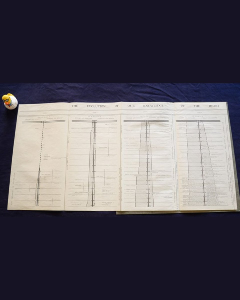 RCPIArchive's tweet image. Day 9 #Archive30. #SomethingBig. This fold-out table was donated to #RCPI by pioneering cardiologist Paul D. White. Measuring 166cm x 66cm, it charts the development of our understanding of the heart from ancient Egypt to the 1950s. With our very own Dr. R. Duck for scale!