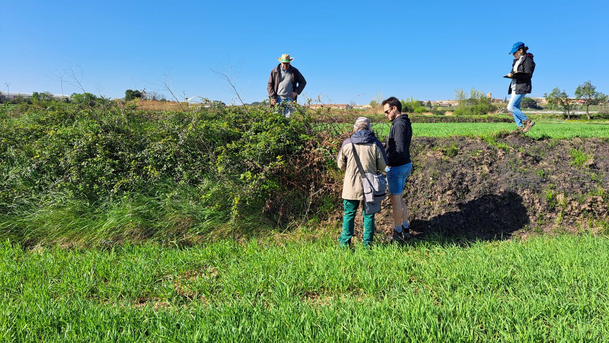 CITAAragon's tweet image. 🌺🌱 Esta primavera parte del equipo del proyecto #BIODIVERSA #Agroalnext ha salido al campo para realizar prospecciones en márgenes naturales de #Caspe y #Mallén y ha preparado muestras en laboratorio 🔬 para analizar la presencia de #virosis
