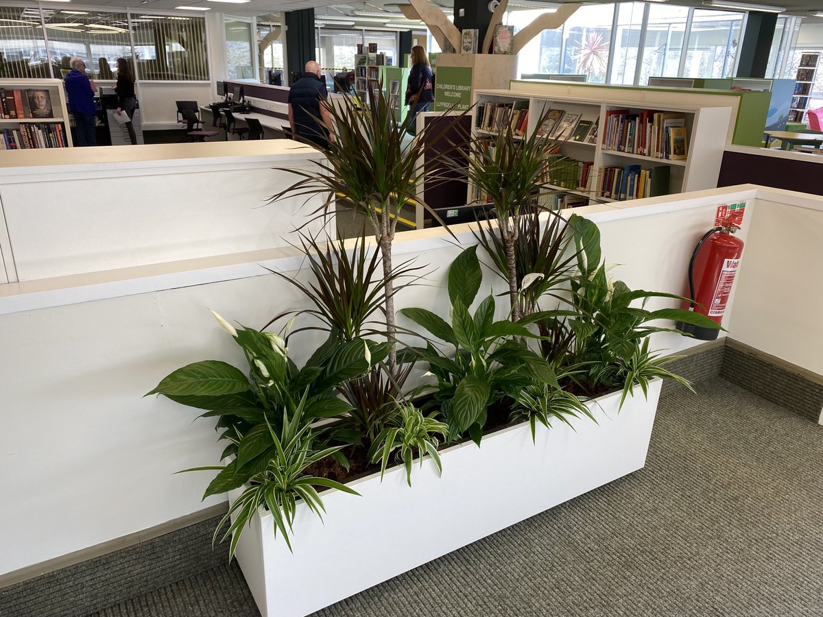 Gresswell tweet media