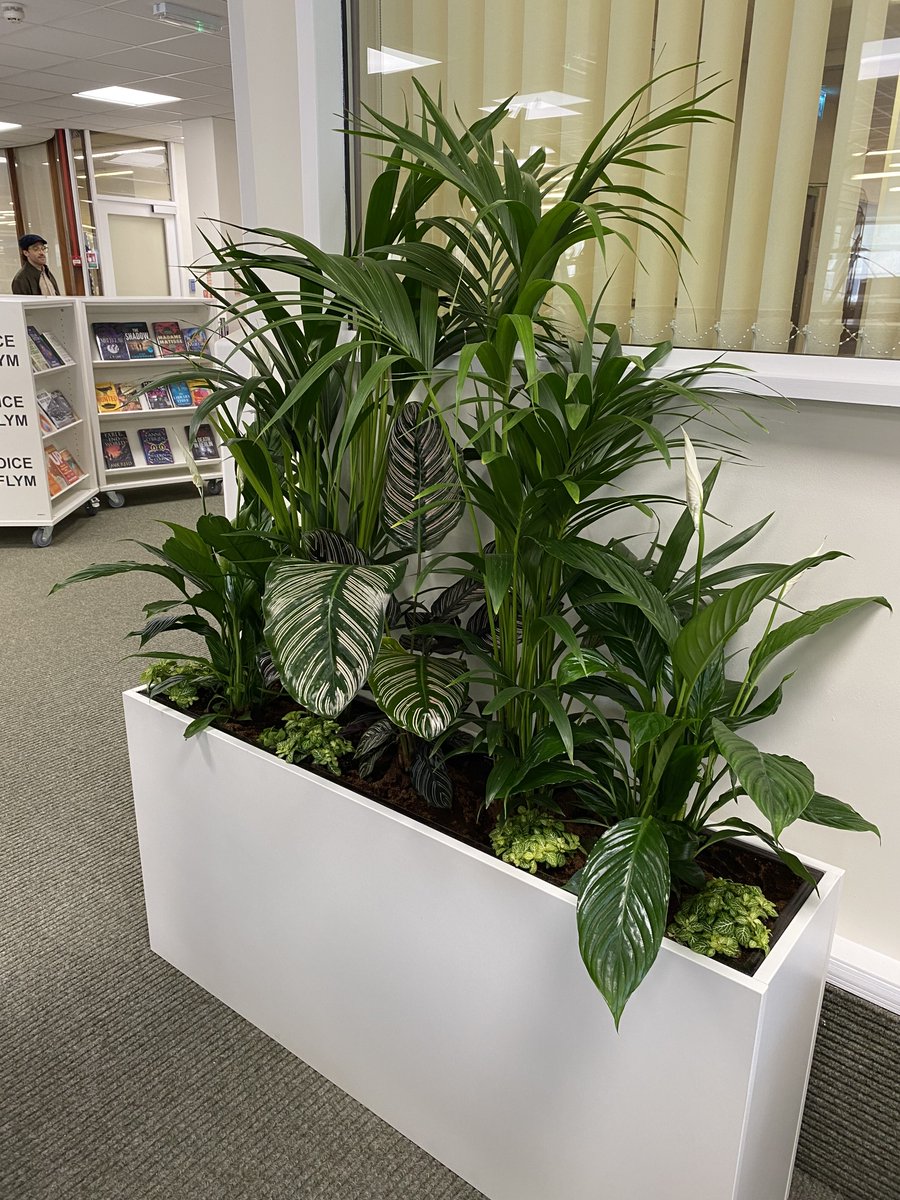 🌿Natural elements have universal appeal and can make a library more comfortable and accessible to a diverse range of visitors.

🌱We believe that introducing sustainable indoor greenery promotes a calming atmosphere that can reduce stress and improve mental health.

At #Cwmbran