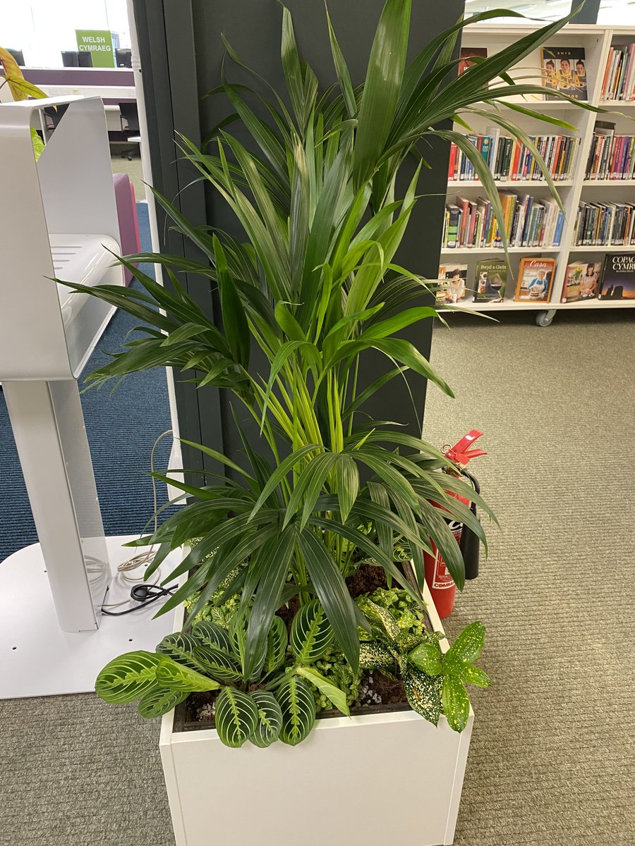 Gresswell tweet media