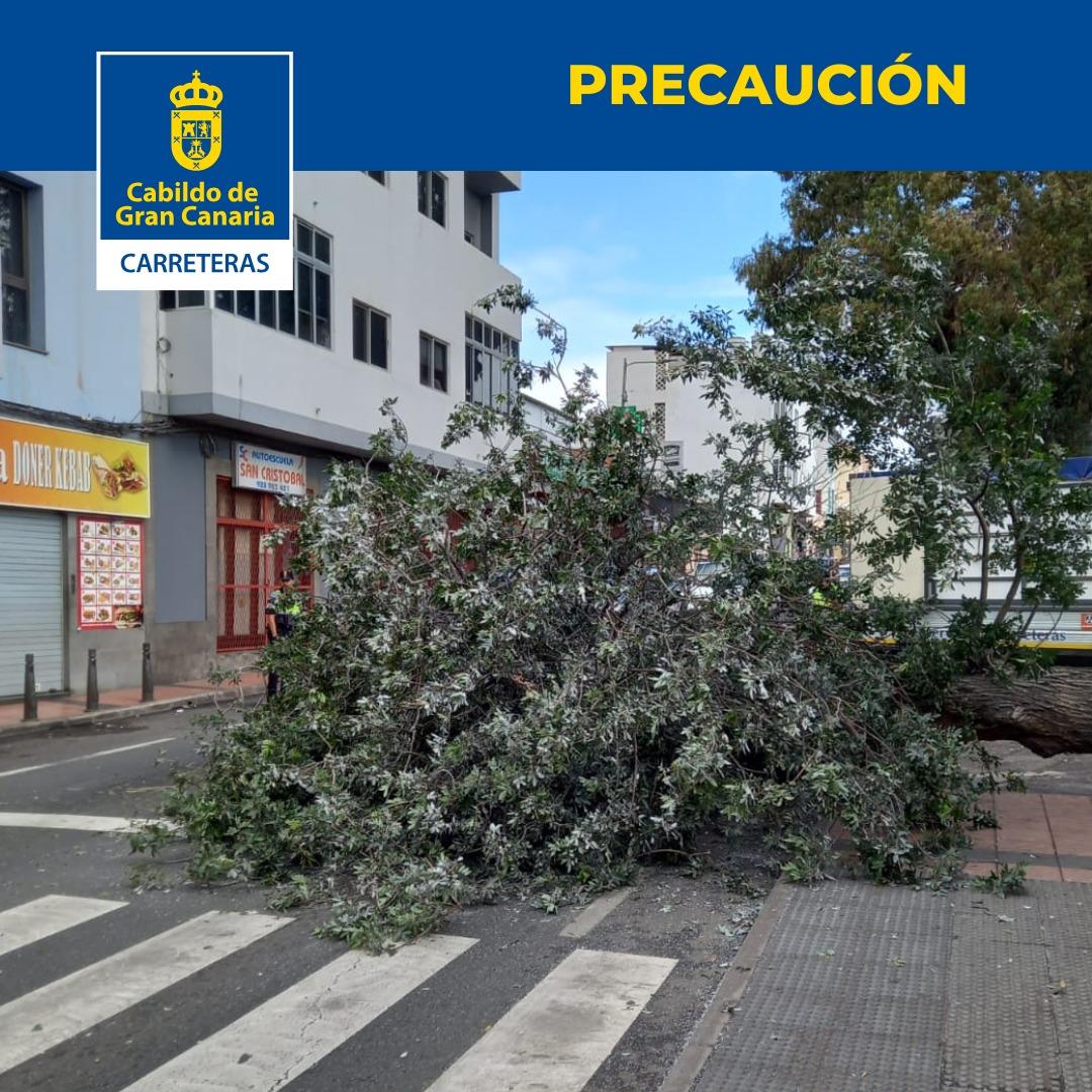 ❌PRECAUCIÓN❌

🚗 Caída de un árbol en la GC-100 en Valle de Jinámar, Telde. Los operarios están trabajando en su retirada

#carreterasGC <a href="/guaguasglobal/">Guaguas Global</a> <a href="/FET_CANARIAS/">fetcanarias</a>