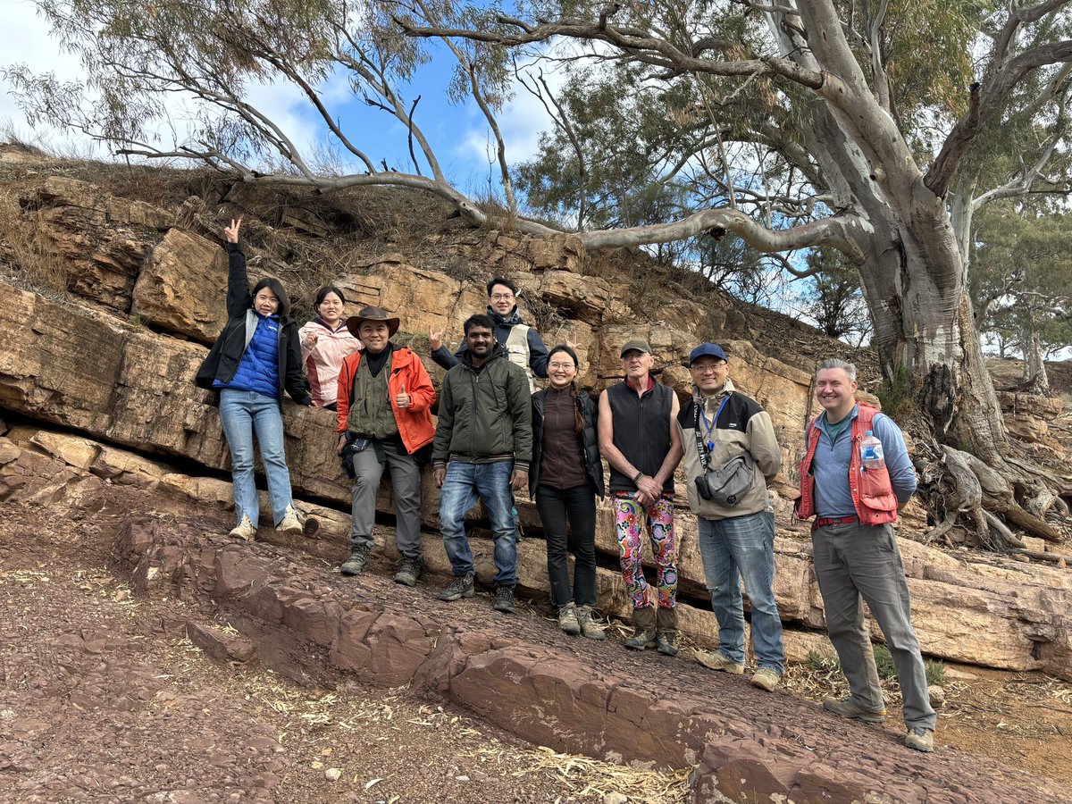 Ross Mitchell tweet media