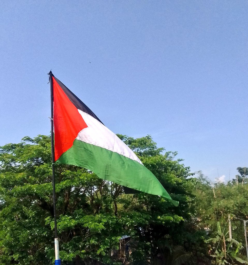 BloodAndTruth's tweet photo. Today, I stood in solidarity with Gaza by raising the Palestinian flag on my rooftop.
This flag is more than a symbol—it's a cry for justice, a voice against genocide, and a pledge to stand with the oppressed.
#StandWithPalestine
#ShibirForGaza
#EchoesForGaza
#BoycottIsrael https://t.co/2S34HAiDrl
