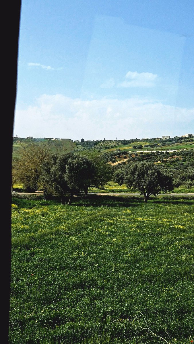 MAnaigar's tweet photo. 📍 #Maroc  🇲🇦
#nature #NaturePhotography #naturemaroc #royaumedumaroc https://t.co/gG0rLgaum4