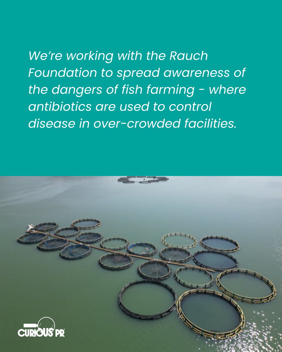 Curious_PR's tweet photo. 💊🍣 Will antibiotics stop working? @guardian reports food prod'n's role in #AMR By 2030 fish farming may make up 5.7% of global antibiotic use. We teamed up with @RauchFoundation on #FishFarmsOut to raise awareness of this, and other threats.
🔗https://t.co/rlp3hLqjxR https://t.co/Q4VRlBmUyG